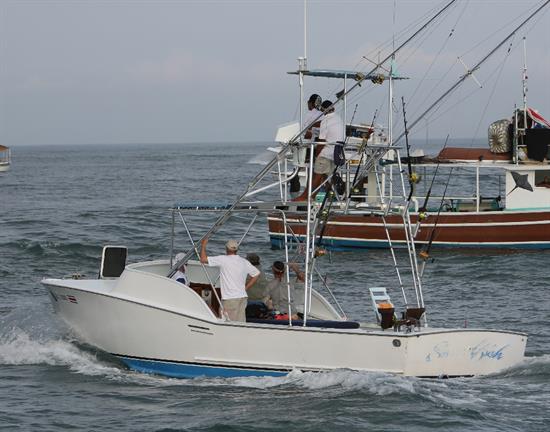 Pelagic Predators / SwordfishVessel Image | CatchStat.com